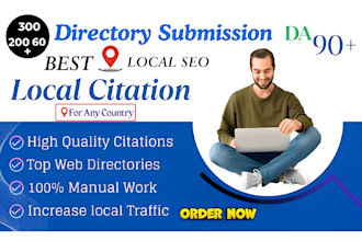 do 300 local SEO citations and directory submissions