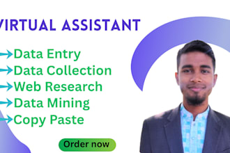 be your professional and reliable data entry expert