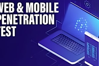perform expert web app and API penetration testing