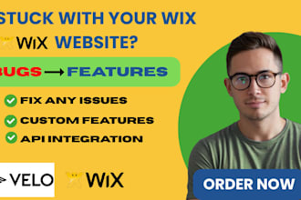 do wix velo code API integration wix cms wix dynamic pages wix website design
