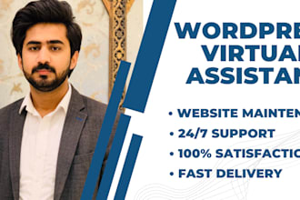 be your wordpress virtual assistant