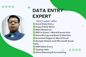 do data entry, web research, copy paste, excel, and data collection work
