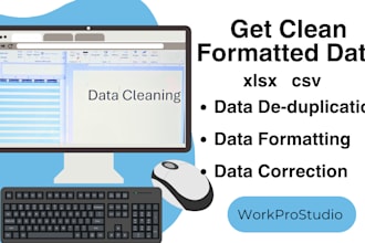 clean and format data in excel