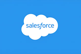 build or fix your salesforce org with full stack CRM expertise