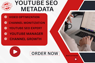be your youtube SEO expert for video ranking, growth, and monetization