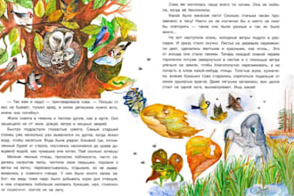 do children book illustration and formatting children book layout design