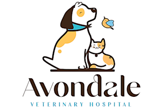 do fantastic animal, animal hospital, cat, horse logo and any graphic design