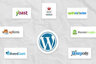 set up wpml or wordpress multisite for multi language support, wordpress seo