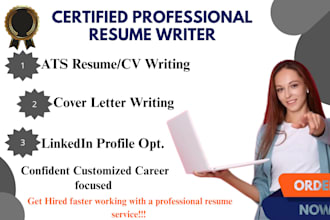 do professional resume expert writing editing usajobs resume design linkedin