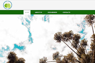 modify your website or build a small responsive website