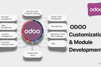 do odoo customization, module development, and integration