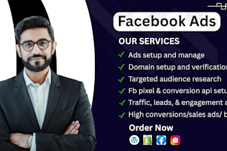 set up facebook ads campaign and instagram ads campaign for sales and leads