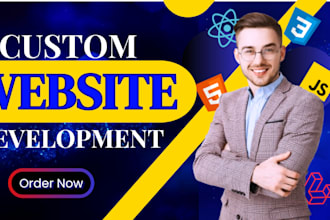 professional website developer  responsive web design HTML CSS javascript