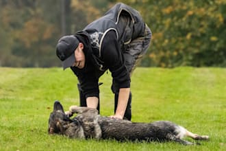 train your puppy or older dog into the furry friend of your dreams