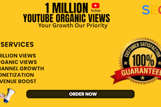 promote your youtube video promotion to gain 1 million views organically