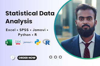do statistical data analysis with excel, spss, python or r