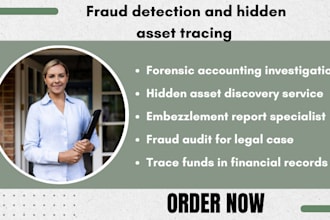 investigate financial records for fraud detection and asset tracing support