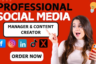 run facebook ads campaign, instagram marketing, linkedin marketing, fb meta ads