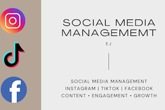 manage your instagram or tiktok and grow your audience organically