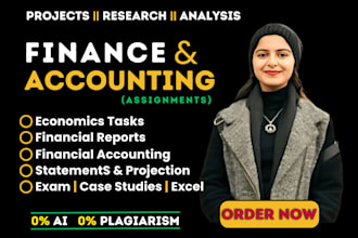 do accounting and finance assignment, financial analysis report, excel project