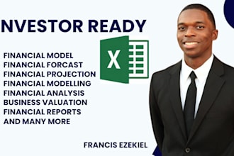 create a professional financial model, forecast, and analysis in excel