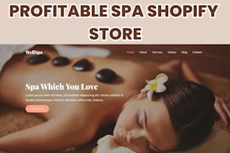 design and redesign profitable spa website spa dropshipping store spa shopify