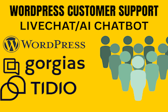 setup intercom tidio integration for wordpress website install gorgias ai