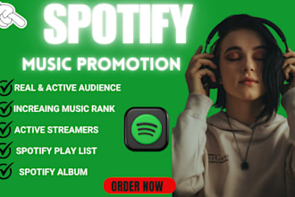 organic spotify promotion track and spotify album marketing to active audience