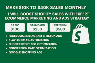 boost shopify sales with SEO, email marketing, and paid ads