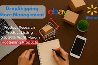 manage your ebay and walmart dropshipping store as a VA expert