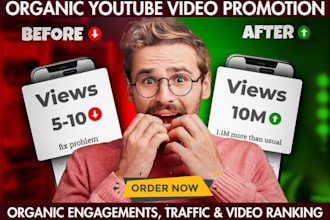 do organic youtube promotion for your video to grow your views, video SEO ads