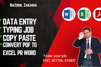 do accurate excel data entry, data cleaning, copy paste, convert PDF, typing