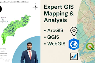 do gis mapping  analysis using arcgis and qgis webgis development