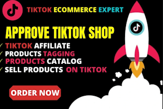create llc tiktok shop set up tiktok shop manage tiktok shop for non US resident