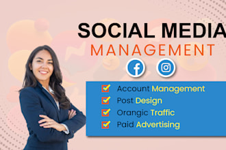 manage instagram and facebook for your brand
