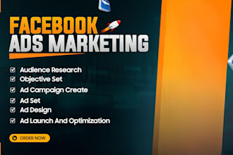 run facebook and instagram ad campaigns to deliver targeted leads, boost sales