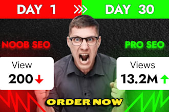 help go viral with 1m plus organic video views