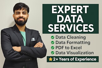 data cleaning, data formatting, data visualisation,