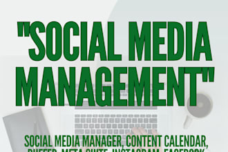 manage and schedule your social media posts professionally