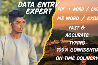 data entry work, typing job, PDF to word or excel, clean,