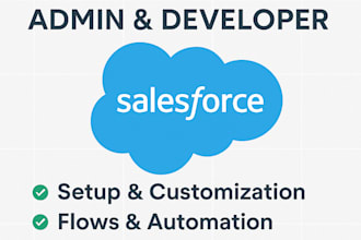 handle end to end salesforce setup and automation