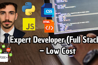expert developer full stack