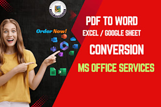 accurately convert scanned pdfs to word or excel files in 4h