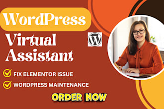 fix elementor issue and provide wordpress maintenance with virtual assistant
