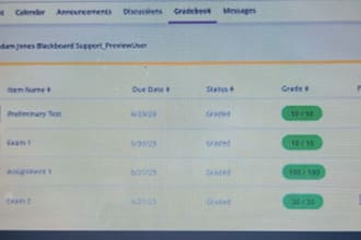 do articles, blackboard, response, personal reflections
