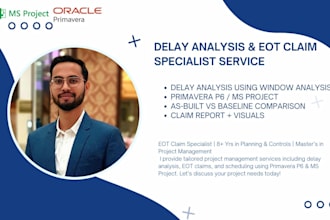 do claim and forensic delay analysis for project
