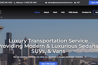 create professional limo website