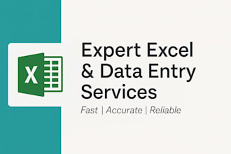do professional excel data entry , formatting and cleanup