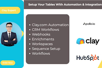 setup clay, apollo, and hubspot CRM automation with workflow integration