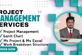 do project management tasks with gantt charts, wbs in ms word or excel
